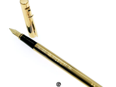 Caran D'Ache Stilografica Gold Plated, pennino oro M
