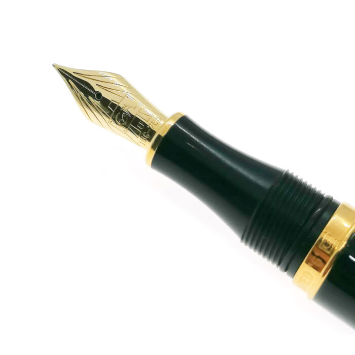 Caran D'Ache Stilografica Geneve Laque e pennino oro EF - immagine 4